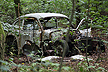 An old car has been given its final resting place in th forest