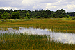 The temporary lakes in Frederikshaab Plantation