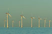 Wind turbine park Horns Rev