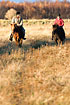 Horseback-riders