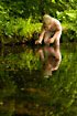 Boy catching tadpoles