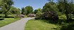 Footpath in the Botanical Garden in Aarhus.
Special image size: Digital SLR. Format: Tiff. File size: ca. 134 Mb. Resolution: Approx. 11057 x 4507 pixels. Print size: Approx. 93 x 38 cm at 300 dpi