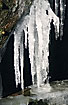 Dripping icicles