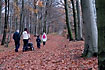 Family in the forest with fallen leaves