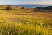 Grassland landscape on the Danish island Sams