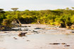 River landscape with dead hippo