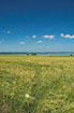 Field on Nyord - view to Sealand