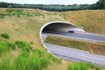Fauna passage bridge on the road between Vandel and Bredsten