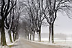 Road in the winter.